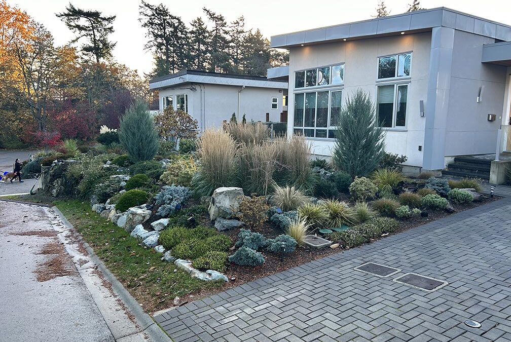 Rain Garden