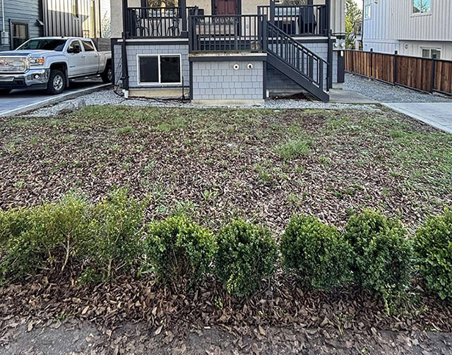rainwater flows into garden