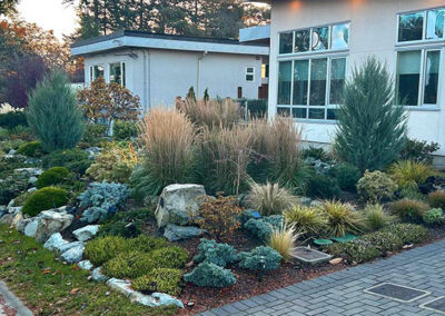 rain garden