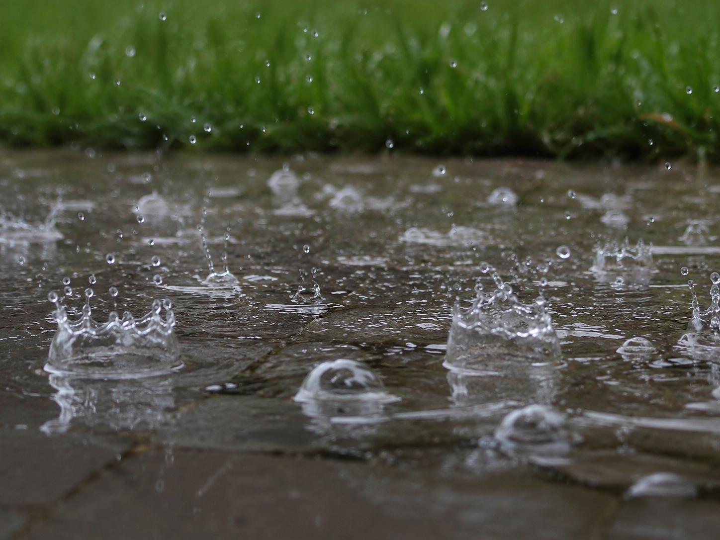 rainwater flows into garden