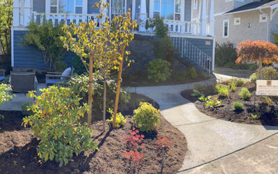 Garden Curb Appeal